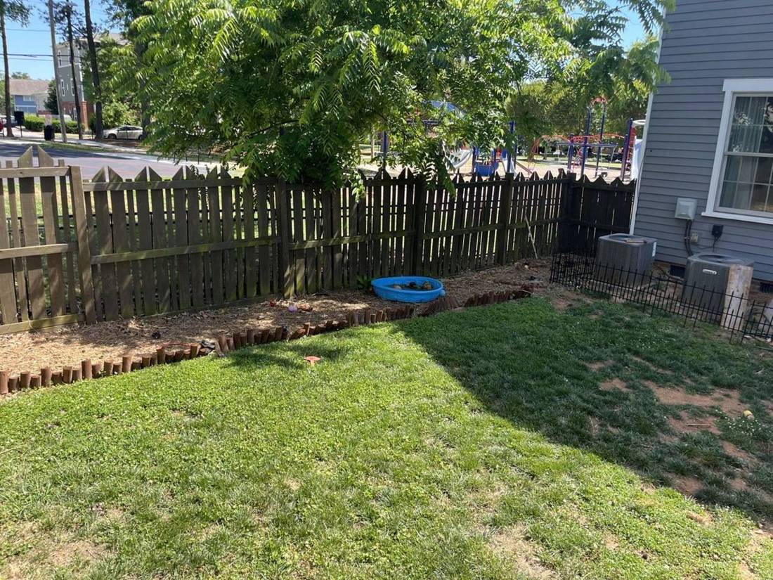 Before: side yard with bare patches along the fence