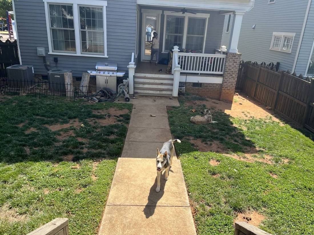 Before: plain concrete walk between patchy lawn