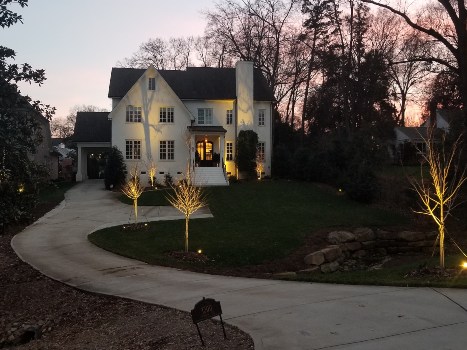 Outdoor landscape lighting at dusk